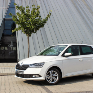 Skoda Fabia III (Verkauft)